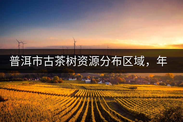 普洱市古茶樹資源分布區(qū)域，年產(chǎn)量多少?