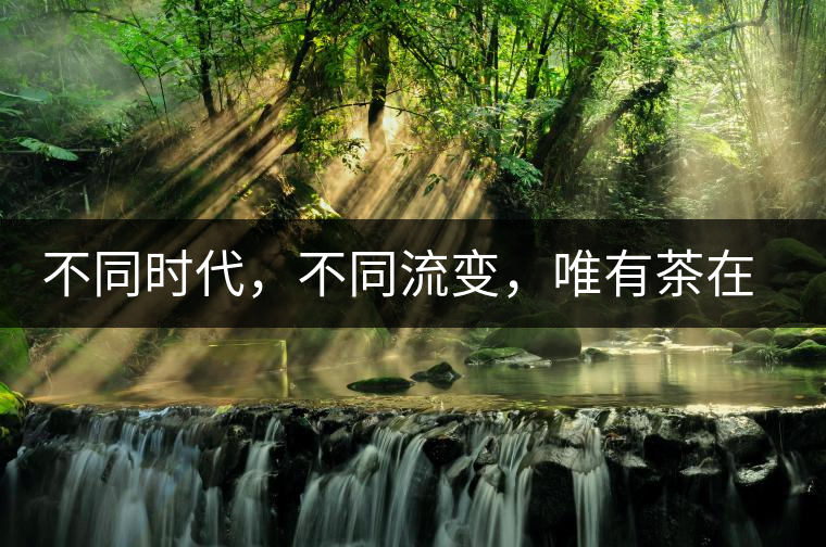 不同時代，不同流變，唯有茶在傳承