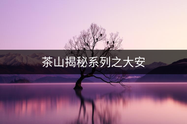 茶山揭秘系列之大安