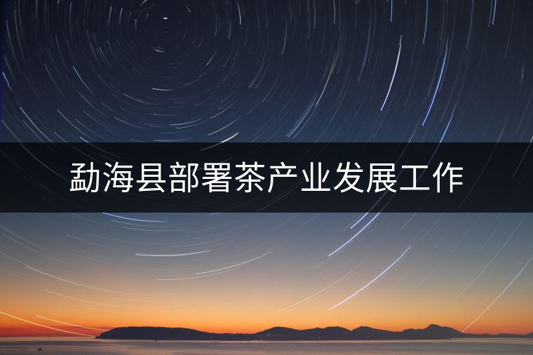 勐?？h部署茶產(chǎn)業(yè)發(fā)展工作