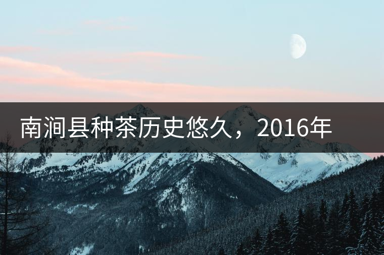 南澗縣種茶歷史悠久，2016年被評(píng)為全國十大生態(tài)產(chǎn)茶縣