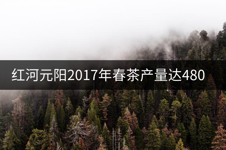 紅河元陽(yáng)2017年春茶產(chǎn)量達(dá)480噸，產(chǎn)值近900萬(wàn)元