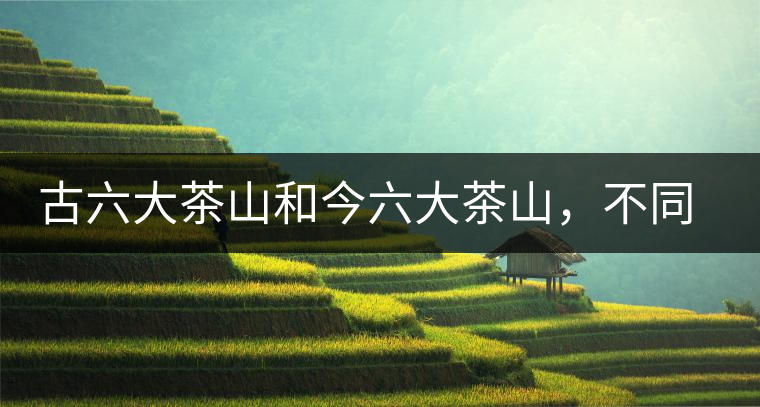 古六大茶山和今六大茶山，不同普洱茶品質(zhì)