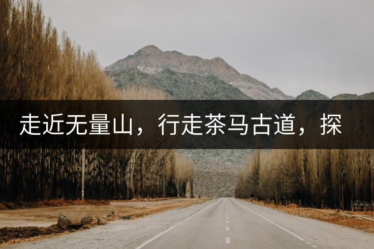 走近無量山，行走茶馬古道，探訪云南千年茶山