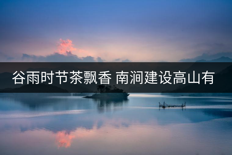 谷雨時節(jié)茶飄香 南澗建設高山有機茶葉生產基地