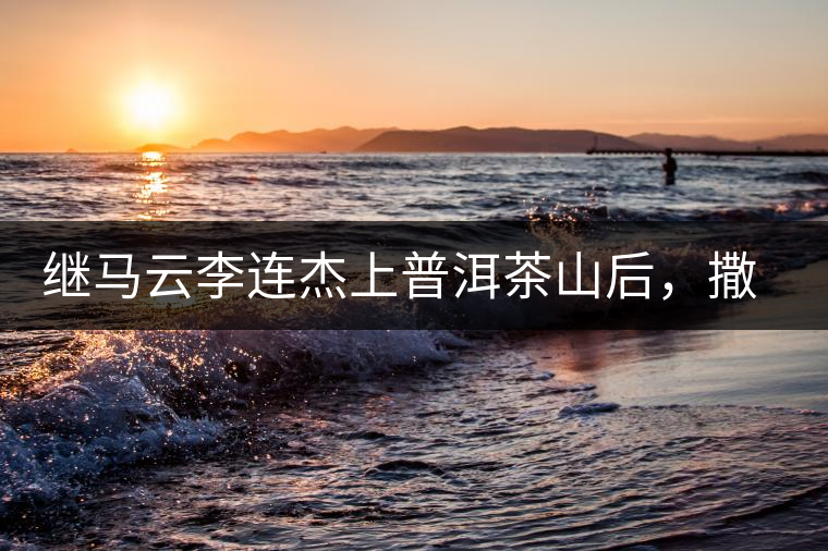 繼馬云李連杰上普洱茶山后，撒貝寧劉愷威也來了