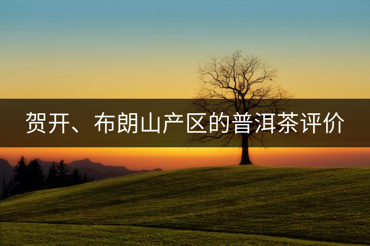 賀開、布朗山產(chǎn)區(qū)的普洱茶評價