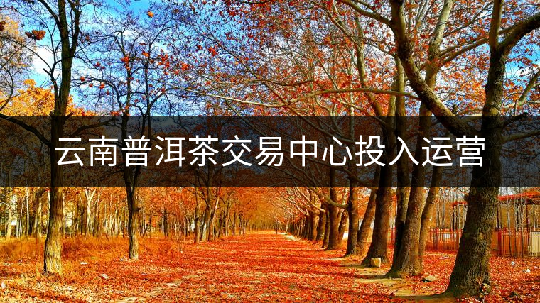 云南普洱茶交易中心投入運(yùn)營