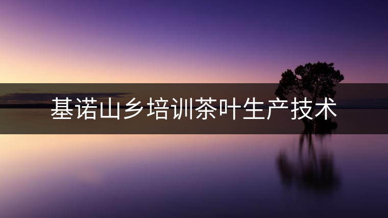 基諾山鄉(xiāng)培訓(xùn)茶葉生產(chǎn)技術(shù)