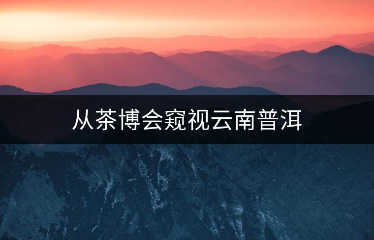 從茶博會窺視云南普洱