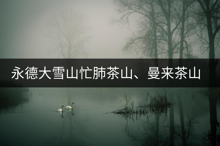 永德大雪山忙肺茶山、曼來(lái)茶山、放牛場(chǎng)茶園的生態(tài)指數(shù)