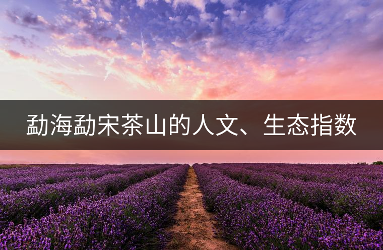 勐海勐宋茶山的人文、生態(tài)指數(shù)