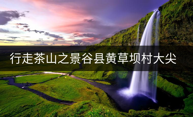 行走茶山之景谷縣黃草壩村大尖山