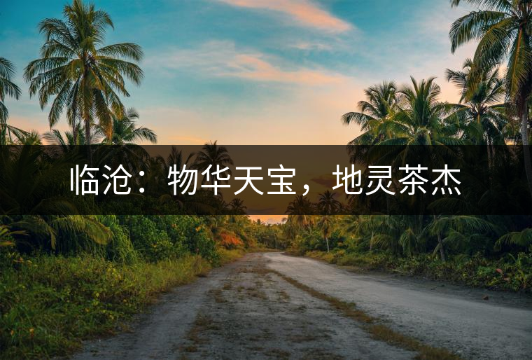 臨滄：物華天寶，地靈茶杰