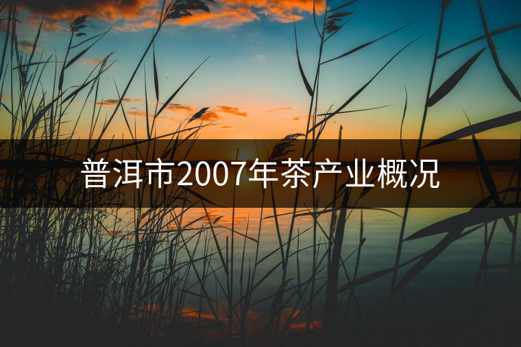 普洱市2007年茶產業(yè)概況