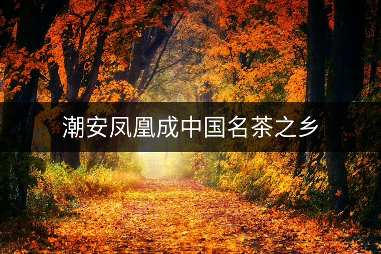 潮安鳳凰成中國(guó)名茶之鄉(xiāng)
