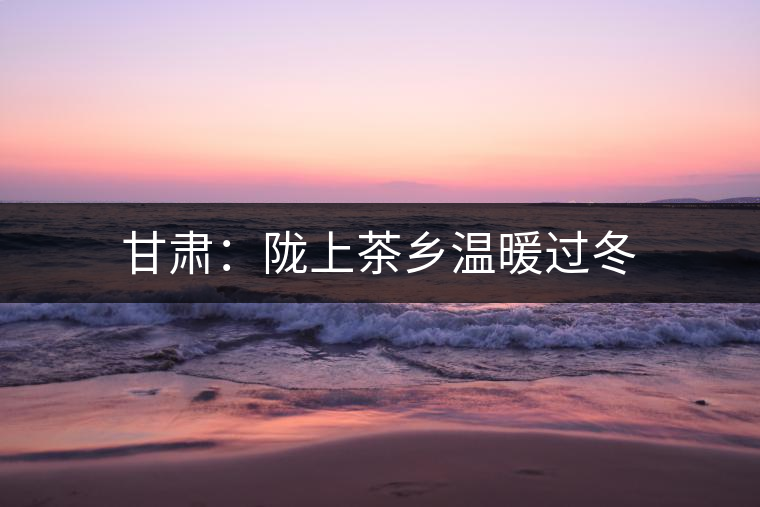 甘肅:隴上茶鄉(xiāng)溫暖過(guò)冬 甘肅:隴上茶鄉(xiāng)溫暖過(guò)冬