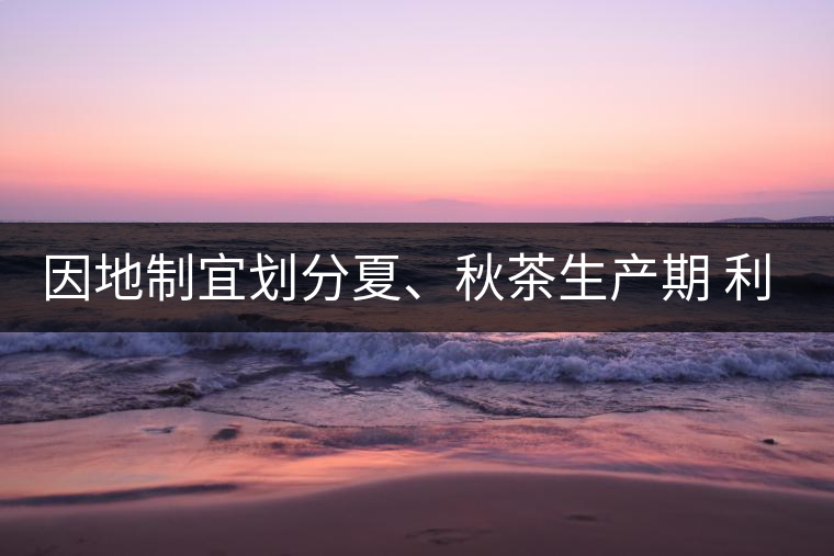 因地制宜劃分夏、秋茶生產(chǎn)期 利于采摘品質(zhì)