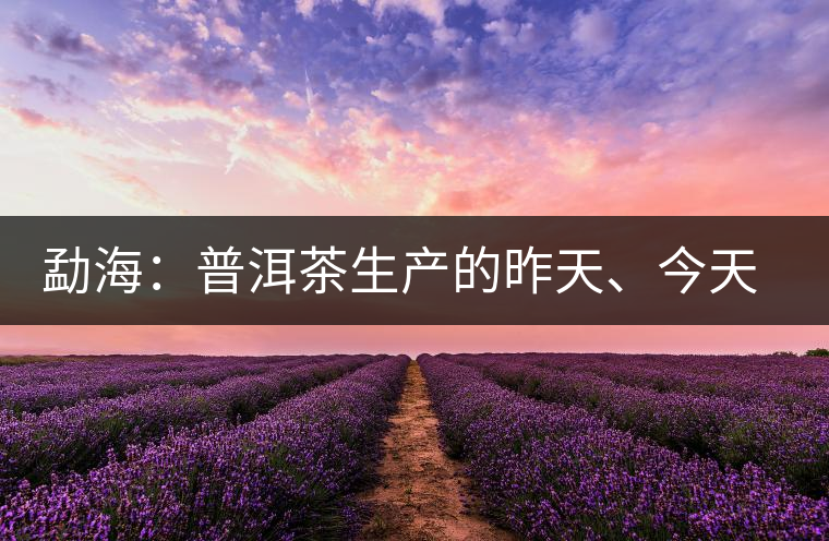 勐海：普洱茶生產(chǎn)的昨天、今天、明天