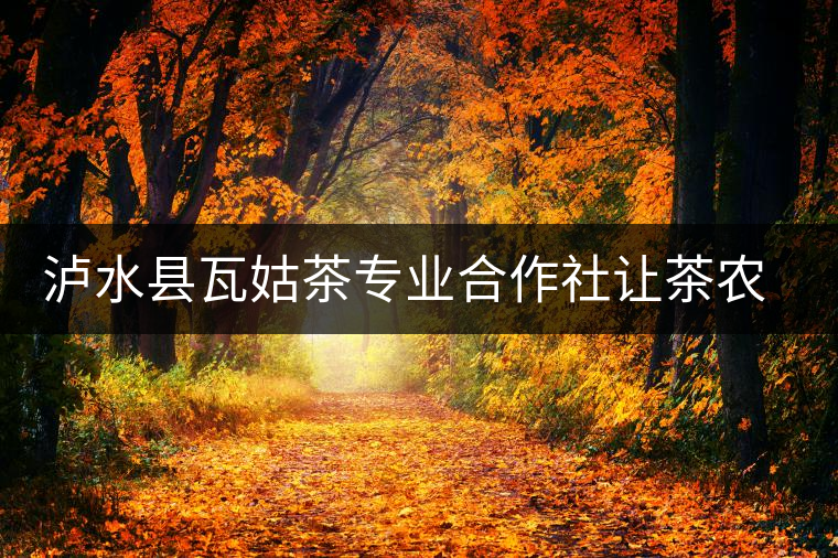 瀘水縣瓦姑茶專業(yè)合作社讓茶農走上致富路