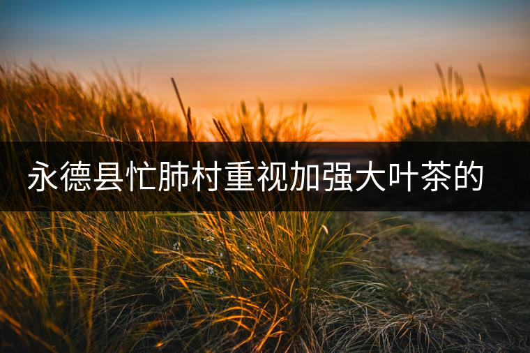 永德縣忙肺村重視加強(qiáng)大葉茶的采摘和無(wú)公害管理