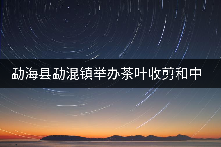 勐海縣勐混鎮(zhèn)舉辦茶葉收剪和中耕培土現(xiàn)場培訓(xùn)會(huì)