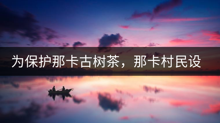 為保護(hù)那卡古樹茶，那卡村民設(shè)公約牌