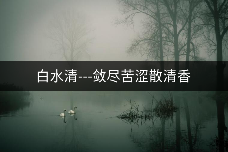 白水清---斂盡苦澀散清香