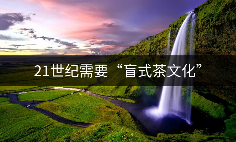 21世紀(jì)需要“盲式茶文化” 21世紀(jì)需要“盲式茶文化”