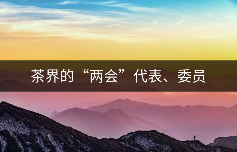 茶界的“兩會”代表、委員