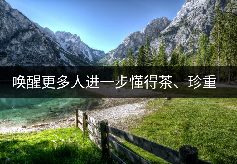 喚醒更多人進(jìn)一步懂得茶、珍重茶、享受茶