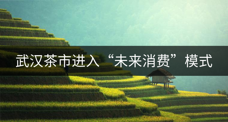 武漢茶市進(jìn)入“未來(lái)消費(fèi)”模式 武漢茶市進(jìn)入“未來(lái)消費(fèi)”模式