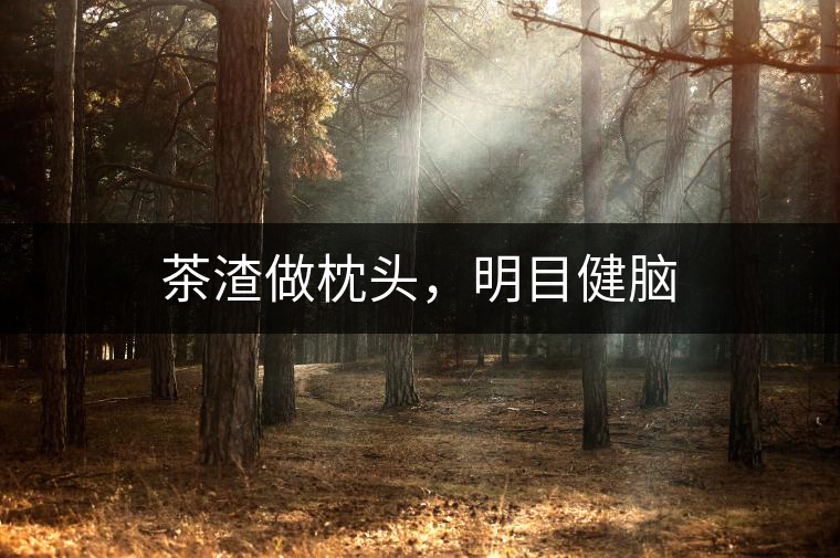 茶渣做枕頭，明目健腦
