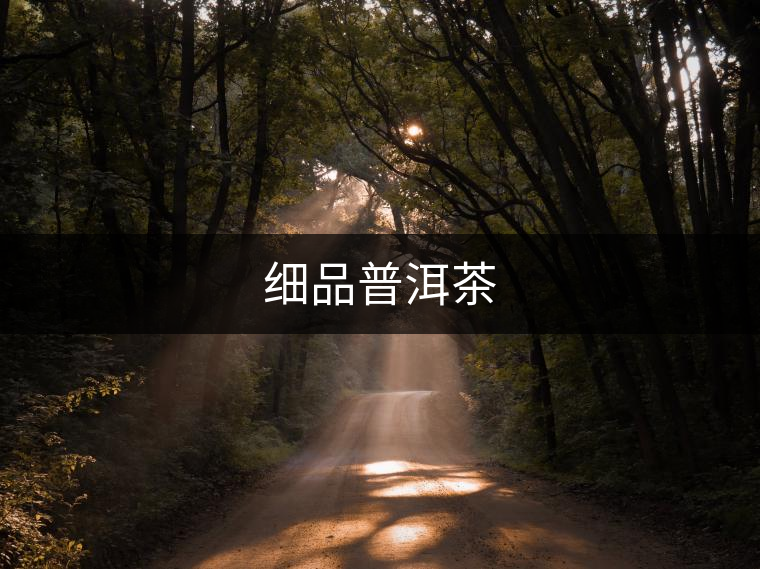 細(xì)品普洱茶