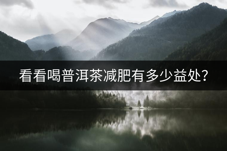 看看喝普洱茶減肥有多少益處？