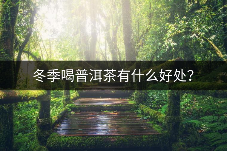 冬季喝普洱茶有什么好處？