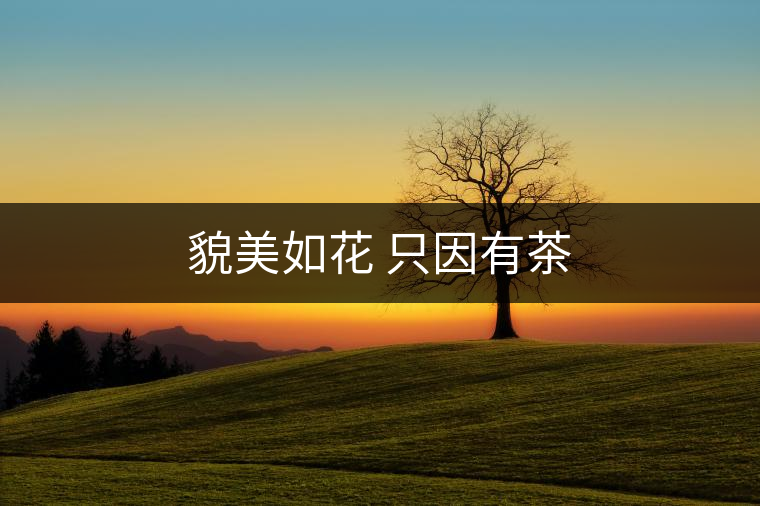 貌美如花 只因有茶