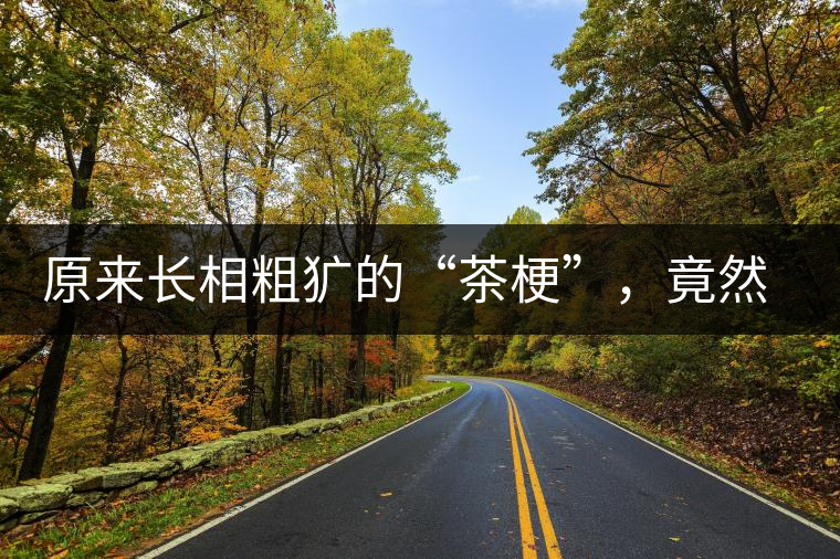 原來(lái)長(zhǎng)相粗獷的“茶?！?，竟然還有這么多的作用