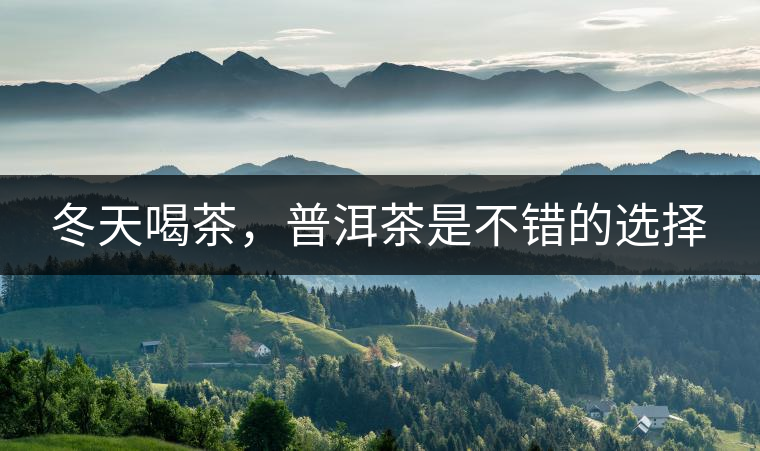 冬天喝茶，普洱茶是不錯(cuò)的選擇
