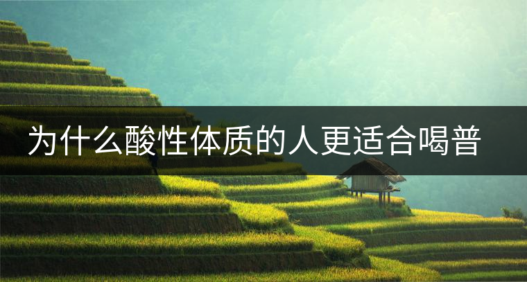 為什么酸性體質(zhì)的人更適合喝普洱茶？