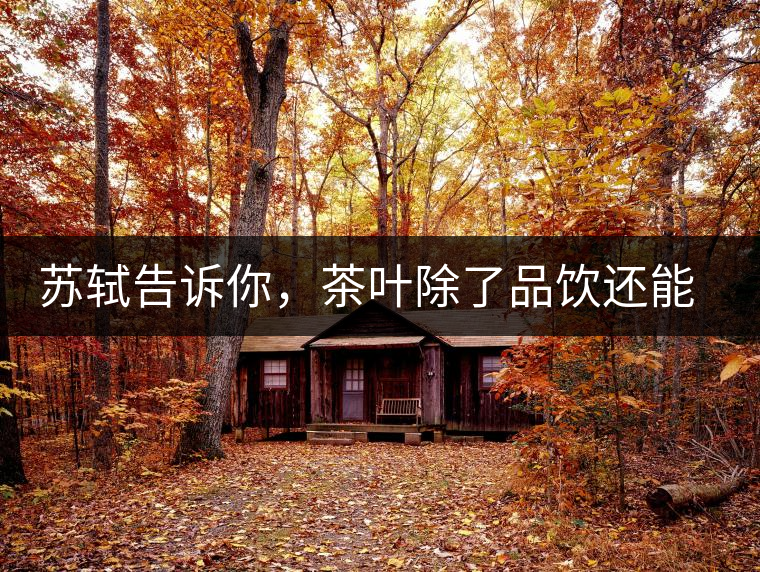 蘇軾告訴你，茶葉除了品飲還能做什么？