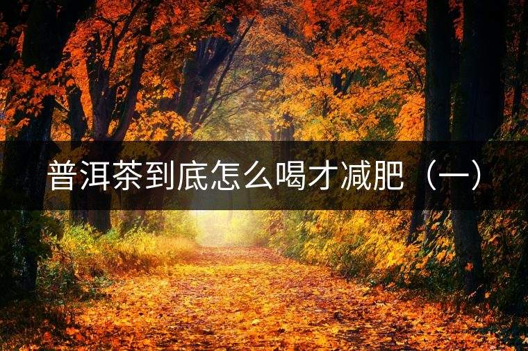 普洱茶到底怎么喝才減肥（一）