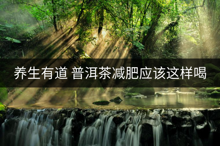 養(yǎng)生有道 普洱茶減肥應(yīng)該這樣喝 養(yǎng)生有道 普洱茶減肥應(yīng)該這樣喝