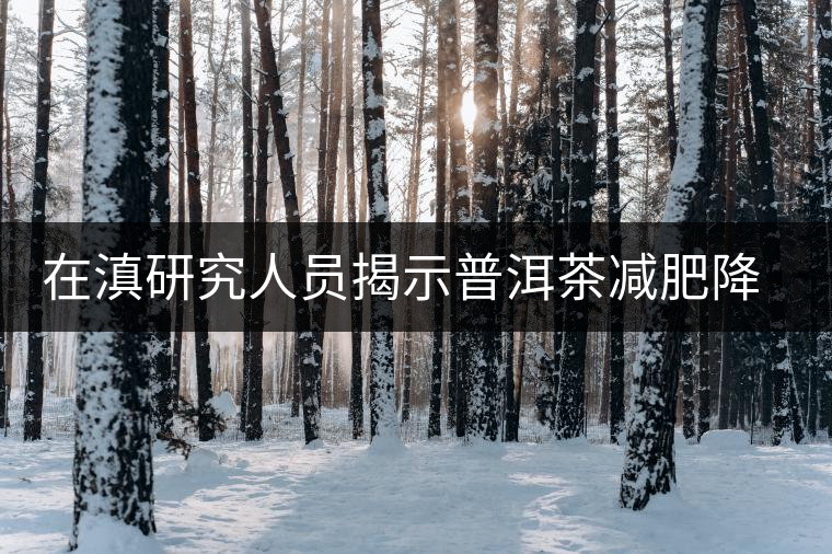 在滇研究人員揭示普洱茶減肥降脂機(jī)制 在滇研究人員揭示普洱茶減肥降脂機(jī)制