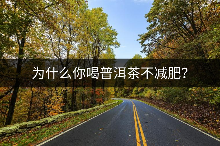 為什么你喝普洱茶不減肥？