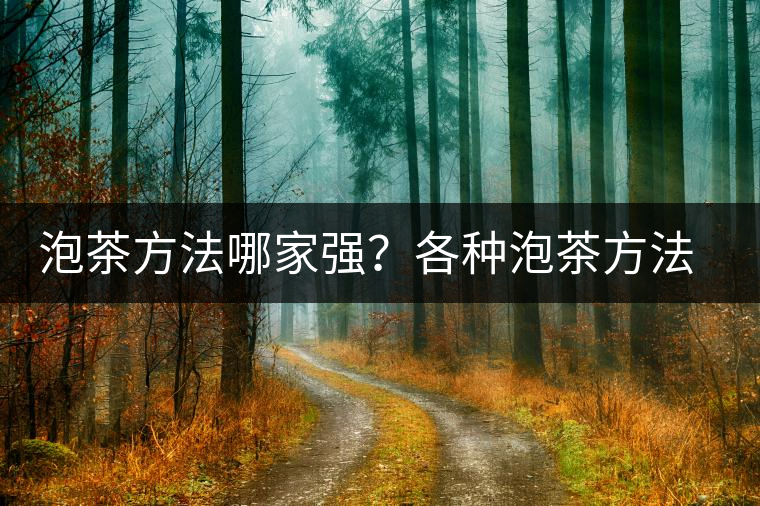 泡茶方法哪家強(qiáng)？各種泡茶方法介紹