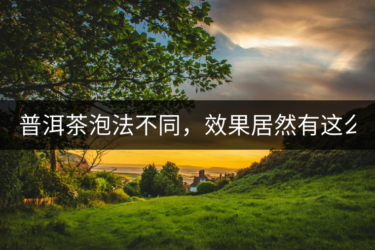 普洱茶泡法不同，效果居然有這么大區(qū)別！