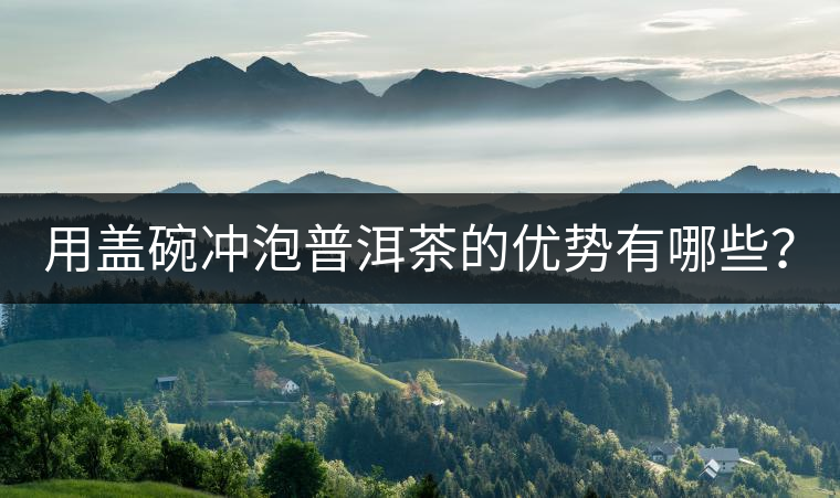 用蓋碗沖泡普洱茶的優(yōu)勢有哪些？