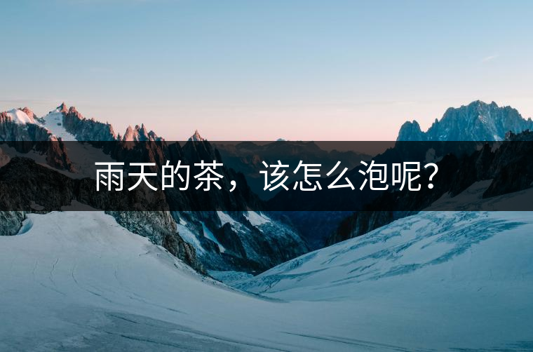 雨天的茶，該怎么泡呢？