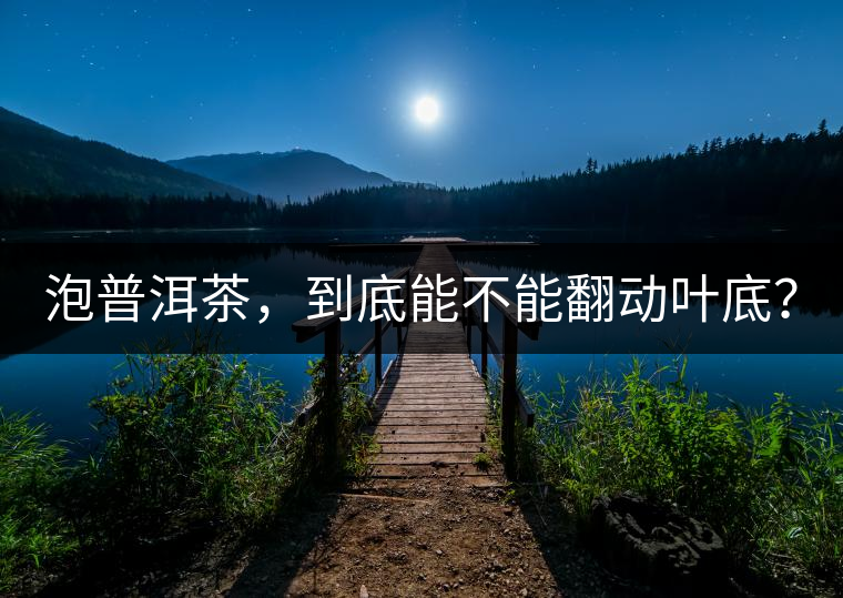 泡普洱茶，到底能不能翻動葉底？